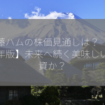 伊藤ハムの株価見通しは？【2024年版】未来へ続く美味しい投資か？